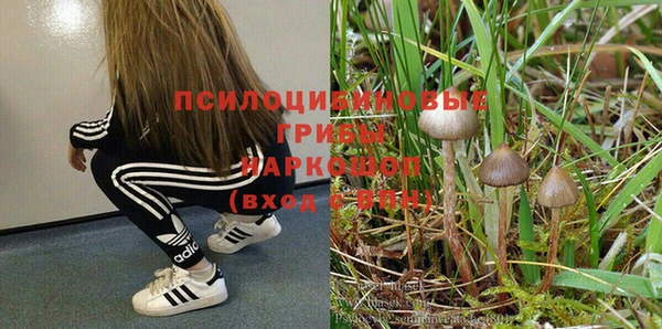 кокс Кукмор