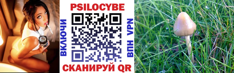 Псилоцибиновые грибы Psilocybine cubensis купить наркотики сайты Ак-Довурак